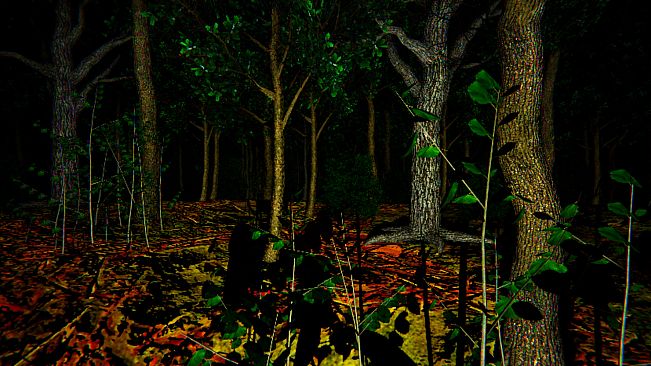 Aokigahara :The death forest