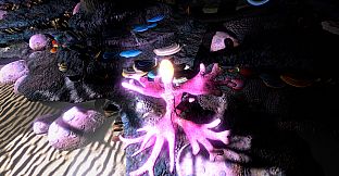 Essence of Illumination: The Beginning