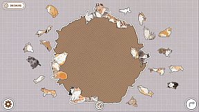 Cats Huddled Together 挤在一起的猫猫们