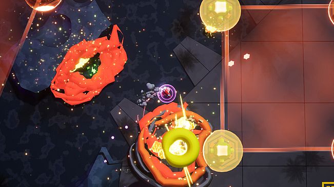 Chase Ace Sole Survivor