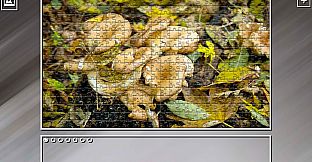 Super Jigsaw Puzzle: Generations - Forests