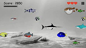 Hungry Fish Evolution