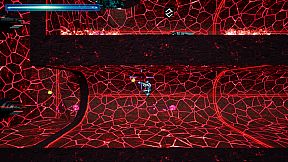 Terram Reduc Protocol