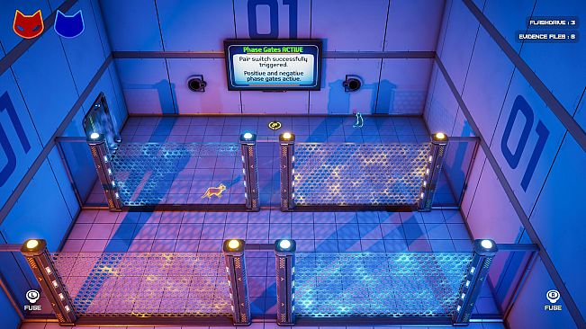 Schrodinger's Cat Burglar