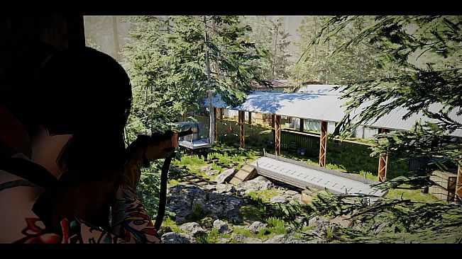 The Game of Annie 安妮的游戏