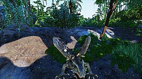 VR Animal Kids Rumble