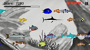 Hungry Fish Evolution