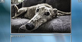 Super Jigsaw Puzzle: Generations - Dogs Puzzles