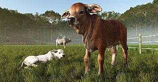 Farming Simulator 25: Beans & Alpacas Expansion