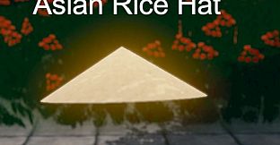 Hide and Seek - Rice Hat