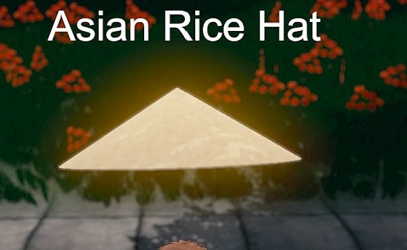 Hide and Seek - Rice Hat