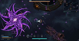 Rift Ward