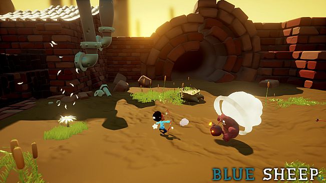 Blue Sheep