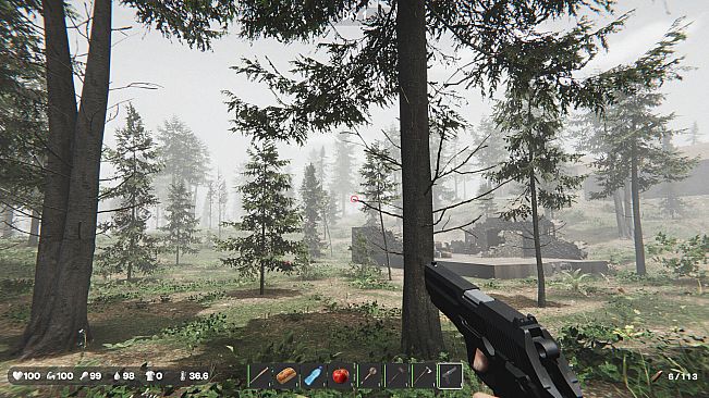 The Silent Wild
