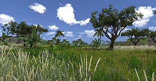 Lost in Nature
