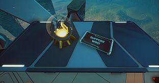 Forever Skies - Whale and Dolphin Conservation Artifact