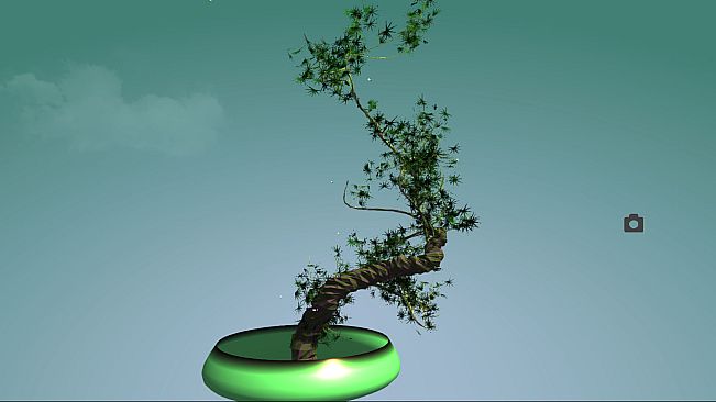 Tree Bonsai