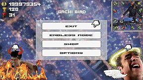 Gachi Bird