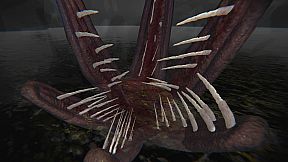 Caution Ahead: Part 2