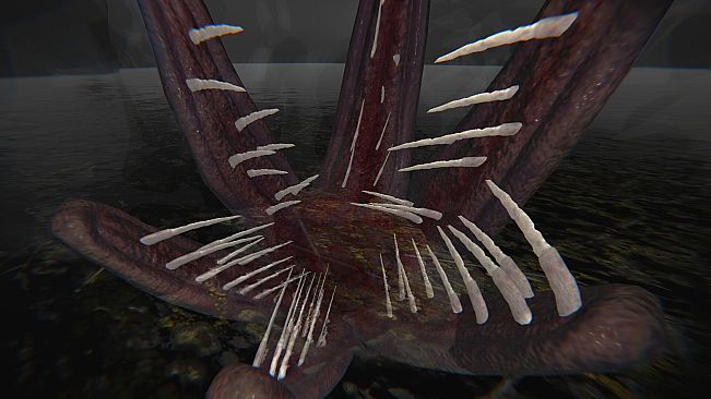 Caution Ahead: Part 2