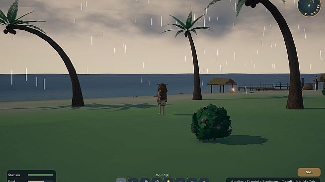 Island Escape