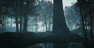 Lightyears from Home