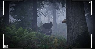 Trail of the Cryptid