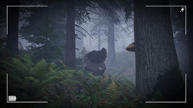 Trail of the Cryptid