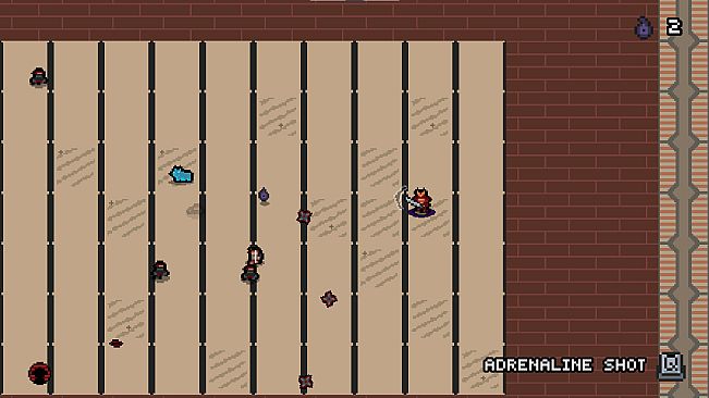 Curse of the Shadow Samurai