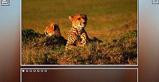 Super Jigsaw Puzzle: Generations - Big Cats Puzzles