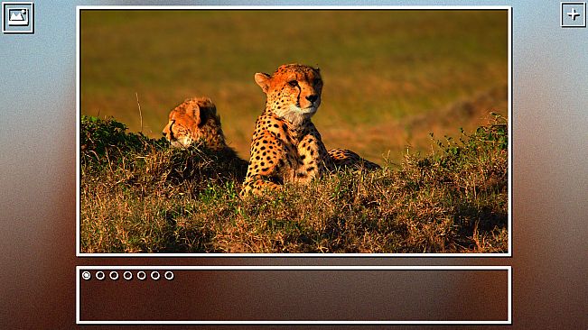 Super Jigsaw Puzzle: Generations - Big Cats Puzzles