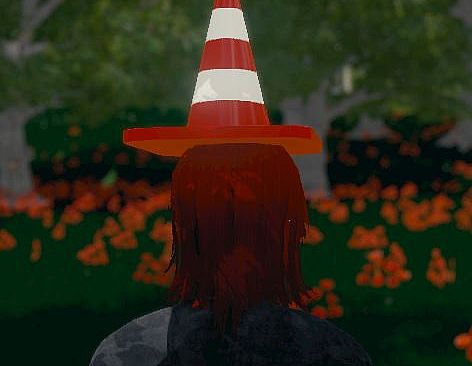 Hide and Seek - Traffic Cone