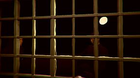 1,000 Heads Among the Trees