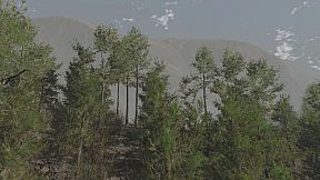 Pro Deer Hunting Out West