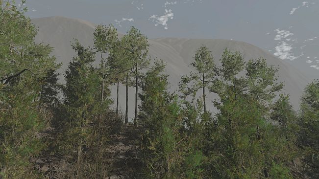 Pro Deer Hunting Out West