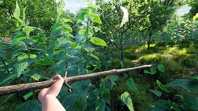 Childhood Simulator: Nettle Slasher