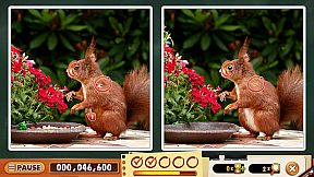 Spot The Differences! Party