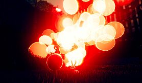 Dynamite Bunny: Catch The Carrot