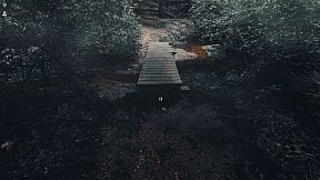 The Holyburn Witches