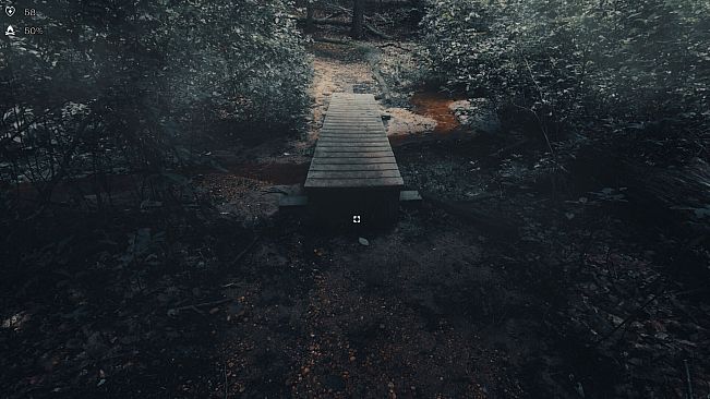 The Holyburn Witches