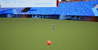 VR Cricket
