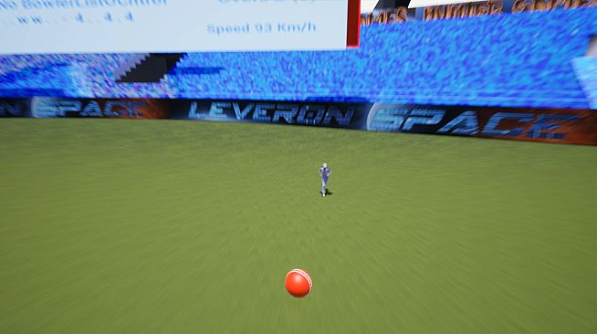 VR Cricket