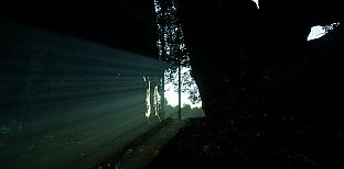 Eden: Project New Earth