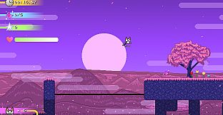 Catto Boi Collection