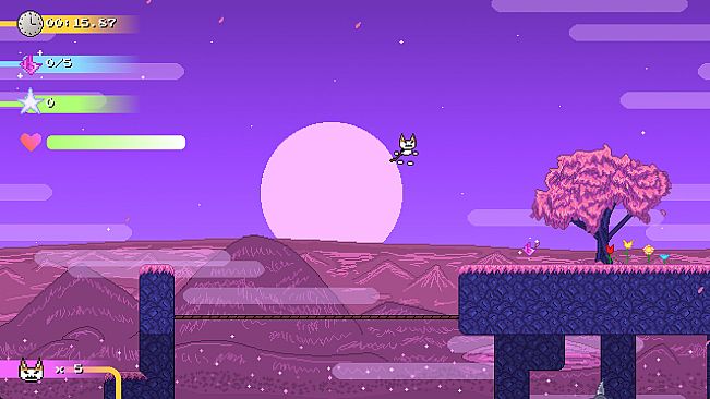 Catto Boi Collection