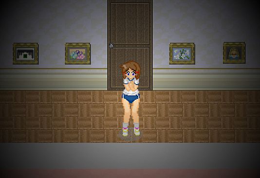 Alternate DiMansion Diary