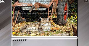 Super Jigsaw Puzzle: Generations - Cats 3