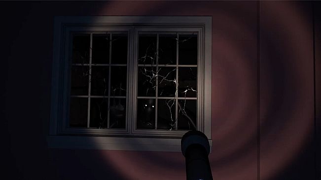The Obsessive Shadow