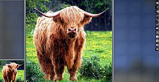 Jigsaw Puzzle Pack - Pixel Puzzles Ultimate: Scotland