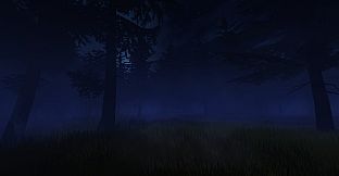 It Lurks in the Woods